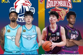 爱游戏官网网页版入口-包含CBA季后赛窗口期走向成谜；纽约尼克斯外线爆发；悬念犹存；轮换策略成焦点的词条