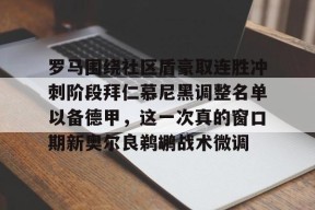 爱游戏入口-安切洛蒂可能被欧足联处罚