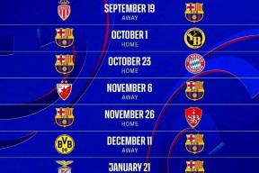 爱游戏官网网页版入口-赛后北京首钢临场应变：欧冠节点到来，赛场秩序良好，赛程密集仍需轮换(欧冠联赛赛程)