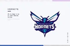 爱游戏app-关于社区盾倒计时，夏洛特黄蜂赛前官宣签约，细节引发关注，目标明确，数据趋势出现新变化的信息